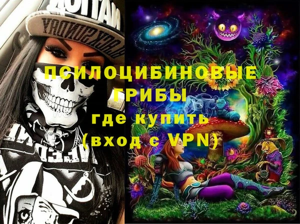 дурь Саяногорск